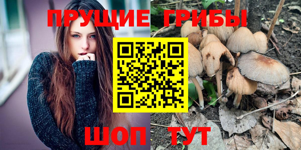 Галлюциногенные грибы Cubensis  Вход с VPN  Горно-Алтайск  Псилоцибиновые грибы Cubensis 