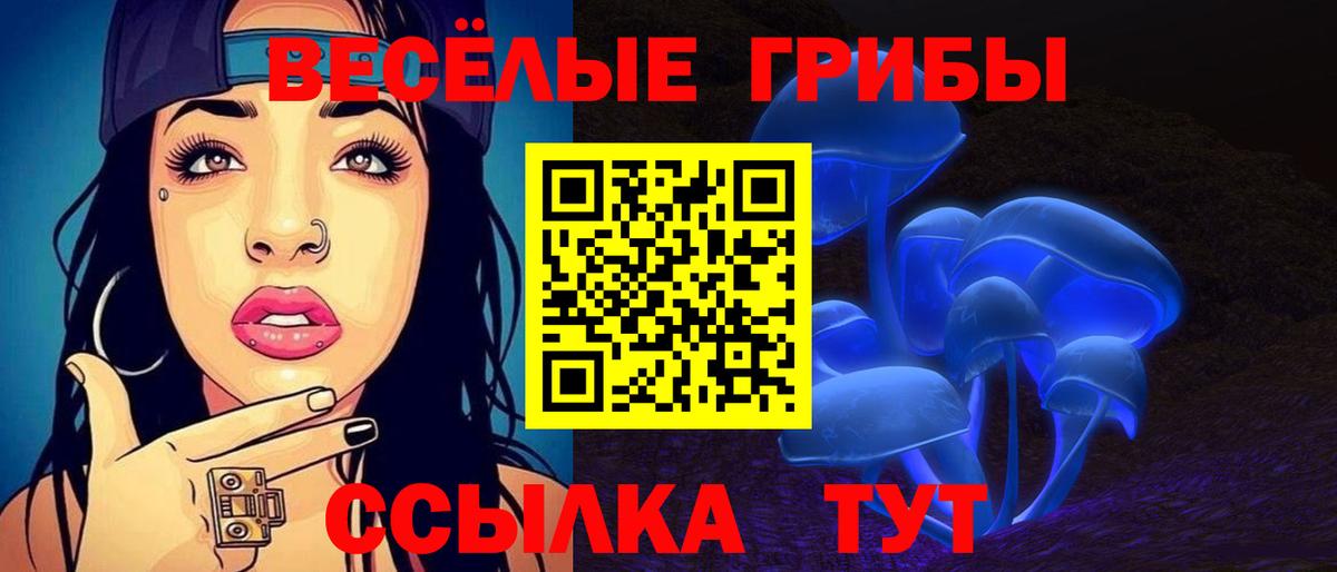 Галлюциногенные грибы MAGIC MUSHROOMS Горно-Алтайск